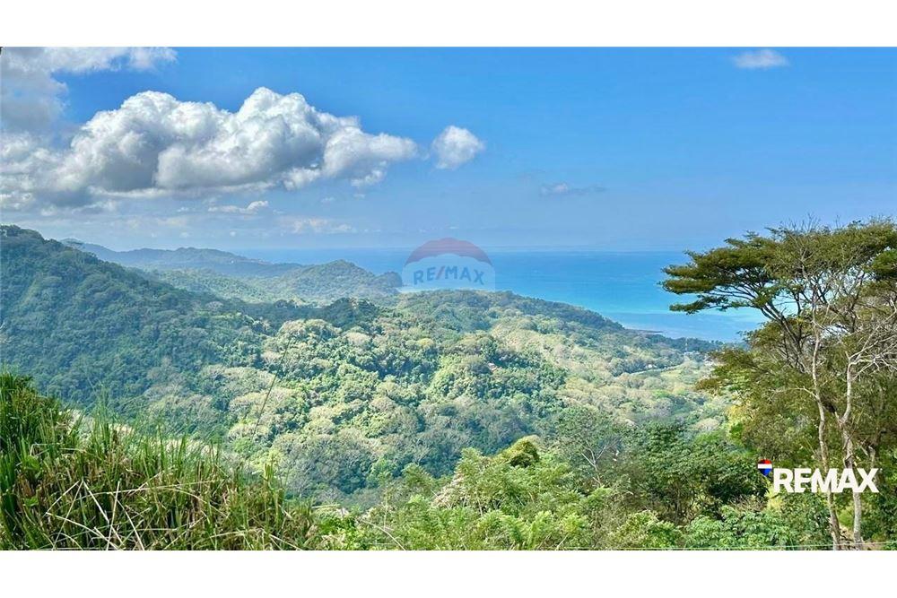 Commercial - Land - Puntarenas, Puntarenas - Puntarenas, Costa Rica - Caribbean & Central Ameri - 5 - 90168015-197