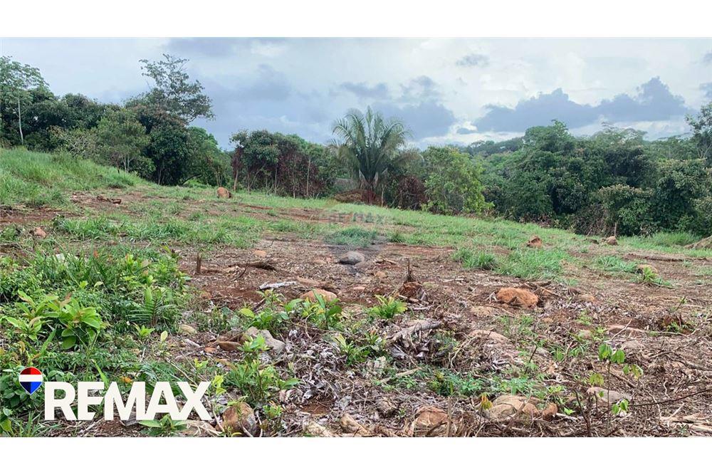 商业 - 土地 - Parrita - Esterillos, Puntarenas - Parrita, 哥斯达黎加 - Caribbean & Central Ameri - 2 - 90168013-172