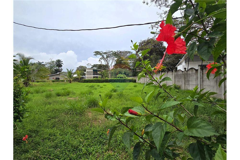 Commercial - Land - Bejuco, Guanacaste - Nandayure, Costa Rica - Caribbean & Central Ameri - 3 - 90168011-801