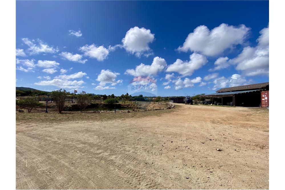 Land - For Sale - Santa Cruz, Aruba, Aruba - 55209 - 90105001-163