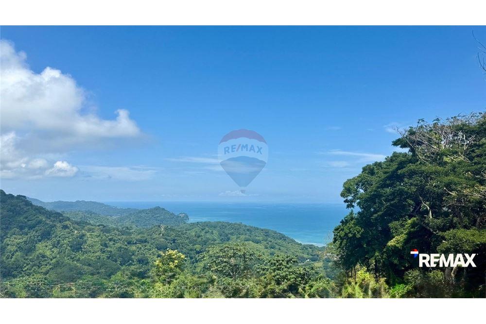 Commercial - Land - Puntarenas, Puntarenas - Puntarenas, Costa Rica - Caribbean & Central Ameri - 1 - 90168015-197