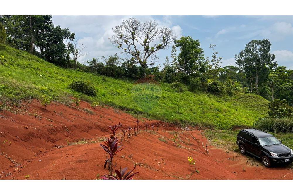 Commercial - Land - Bijagual, Puntarenas, Costa Rica - Caribbean & Central Ameri - 13 - 90168042-14