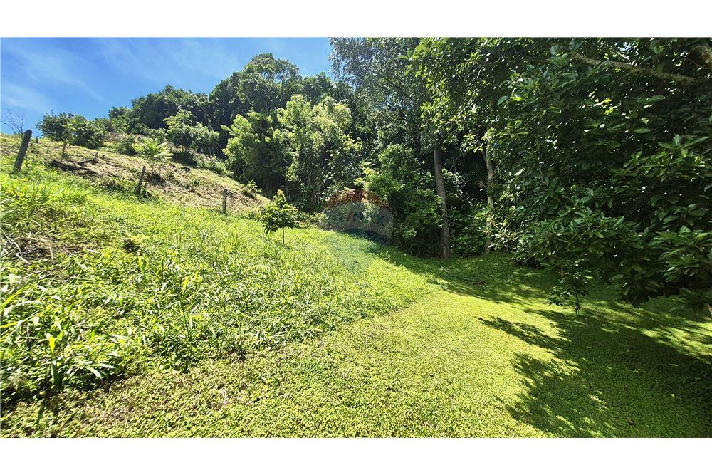 Commercial - Land - Atenas, Alajuela- Atenas, Costa Rica - Caribbean & Central Ameri - 6 - 90128007-187