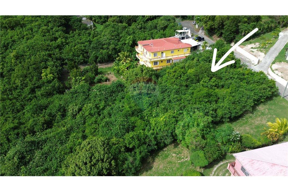 Land - For Sale - Clifton Hill, St Croix, US Virgin Islands - 5 - 90123034-103