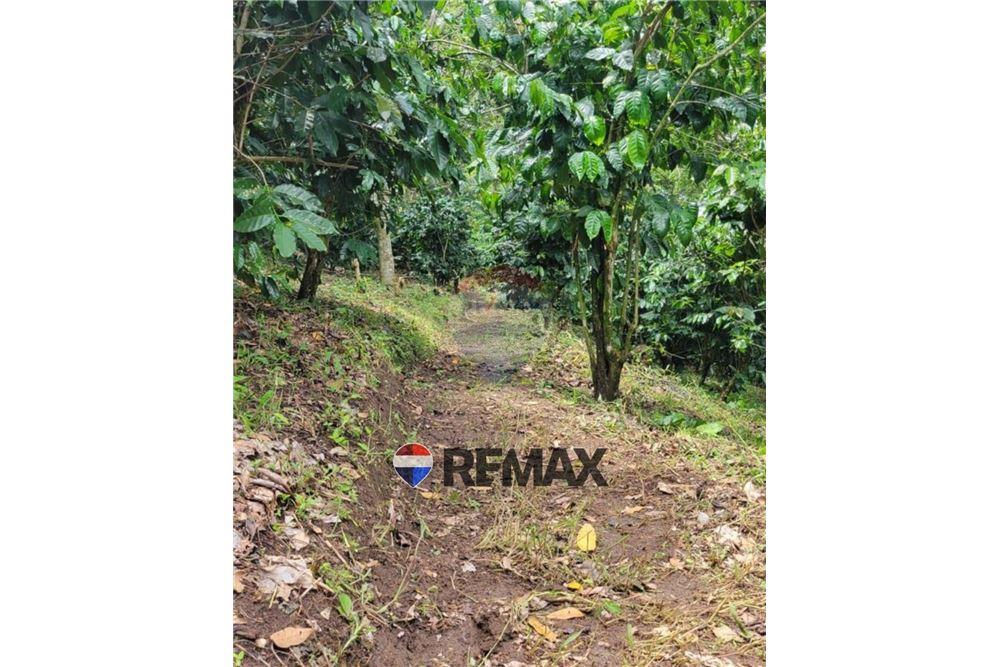 Grondstuk - Te Koop - San Martín, San Salvador, El Salvador - 4 - 902501008-22