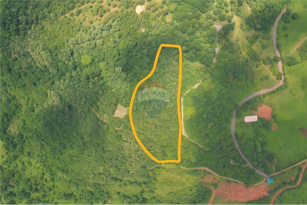 Commercial - Land - Atenas, Alajuela- Atenas, Costa Rica - Caribbean & Central Ameri - 22 - 90128007-183