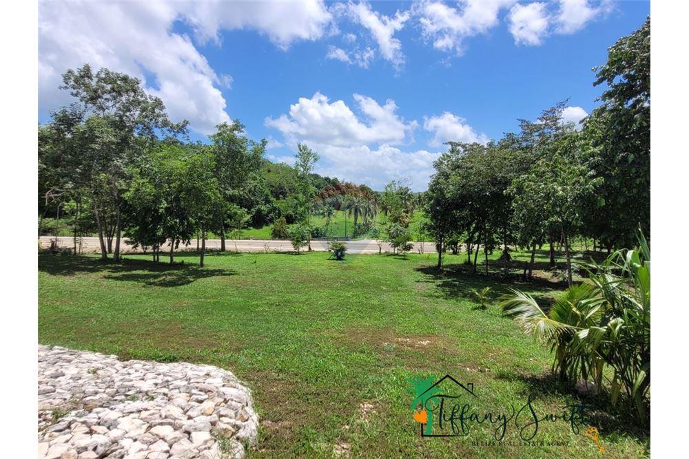 Residential - Villa - San Ignacio, Cayo District, Belize - Caribbean & Central Ameri - 20 - 901411005-156