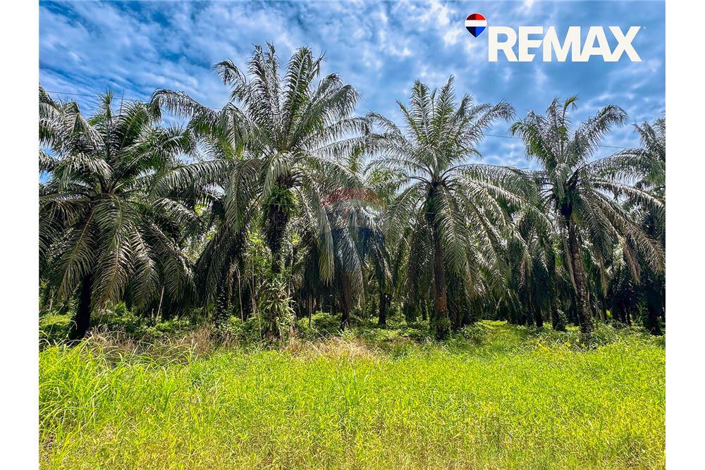 Comercial - Terreno - Parrita - Esterillos, Puntarenas - Parrita, Costa Rica - Caribbean & Central Ameri - 18 - 90168003-465