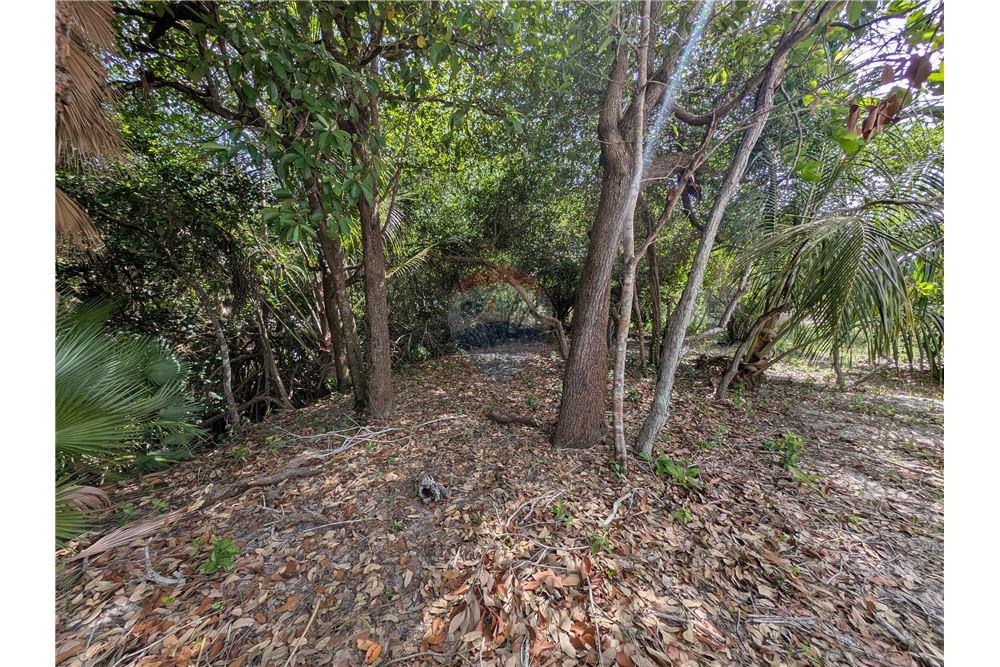 Commercial - Land - Maya Beach, Stann Creek District, Belize - Caribbean & Central Ameri - 7 - 90127016-282