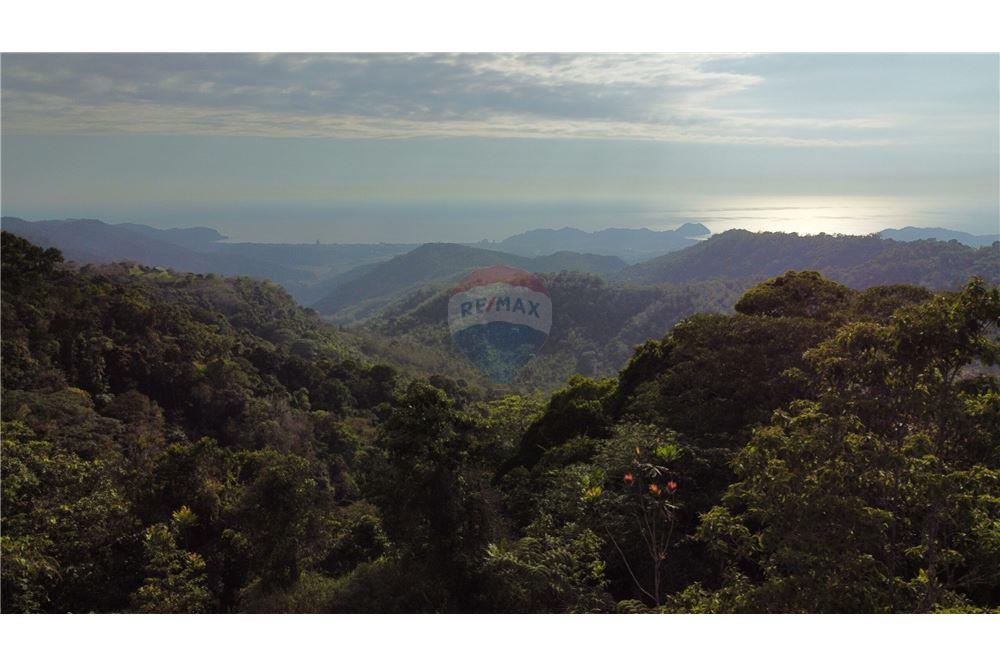 Surface commerciale - Autre terrain - San José, San José, Costa Rica - Caribbean & Central Ameri - 3 - 90168030-68