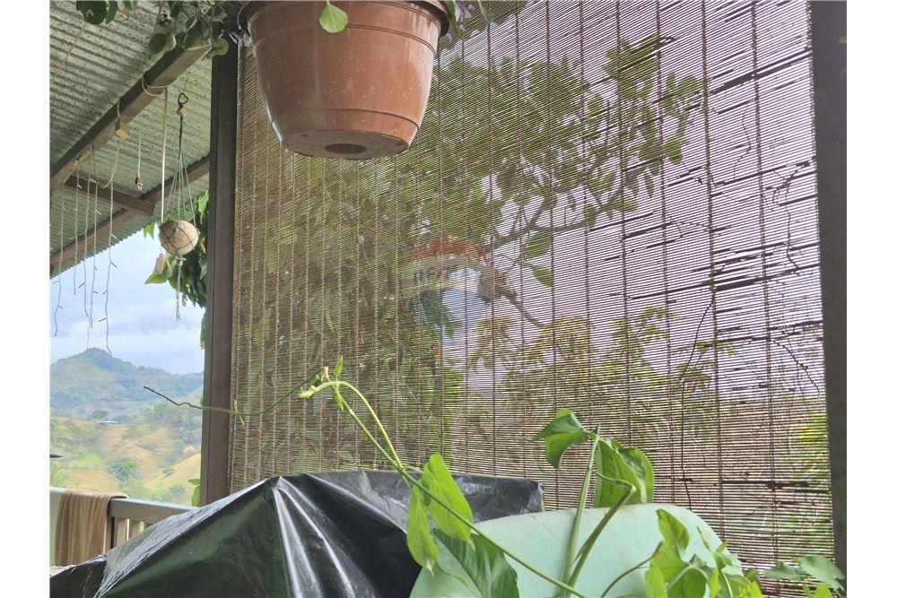 Residential - Villa - Atenas, Alajuela- Atenas, Costa Rica - Caribbean & Central Ameri - 9 - 90128007-171