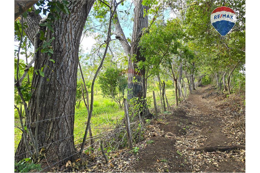Commercial - Land - Nandaime, Granada, Nicaragua - Caribbean & Central Ameri - 18 - 90119010-73
