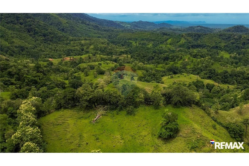 Comercial - Terreno - Parrita, Puntarenas - Parrita, Costa Rica - Caribbean & Central Ameri - 6 - 90168003-467