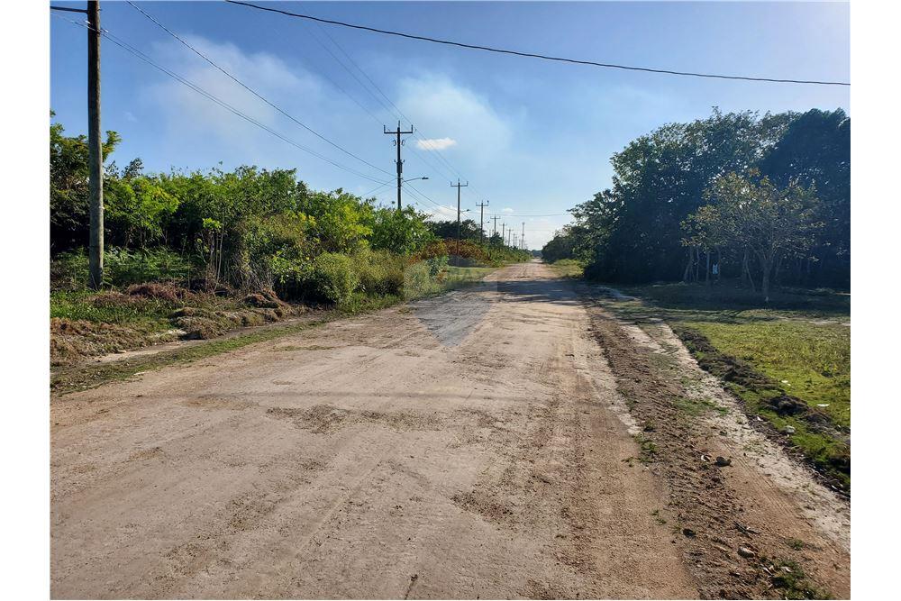 Comercial - Terrenos - Corozal Town, Corozal District, Belize - Caribbean & Central Ameri - 5 - 901411007-93