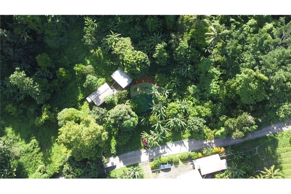 Commercial - Land - Soufrière, Soufrière, St Lucia - Caribbean & Central Ameri - 5 - 902071001-217