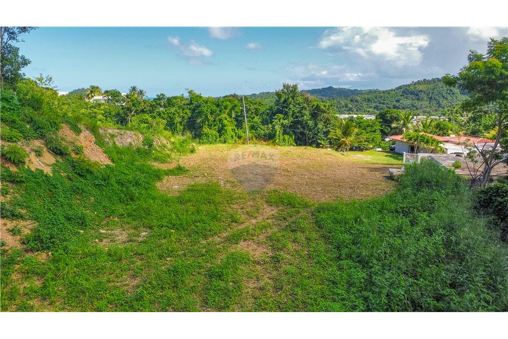 Commercial - Land - Luquillo, Luquillo, Puerto Rico - Caribbean & Central Ameri - 6 - 902461016-2