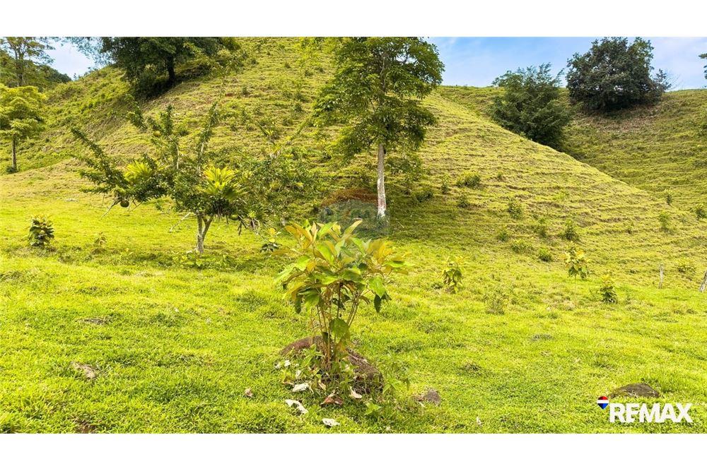 Comercial - Terreno - Parrita, Puntarenas - Parrita, Costa Rica - Caribbean & Central Ameri - 15 - 90168003-467