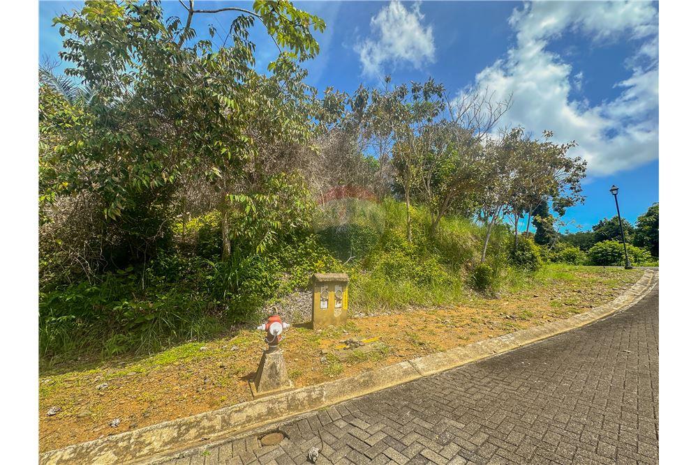 Commercio - Terreno - Parrita - Esterillos, Puntarenas - Parrita, Costa Rica - Caribbean & Central Ameri - 5 - 90168039-32