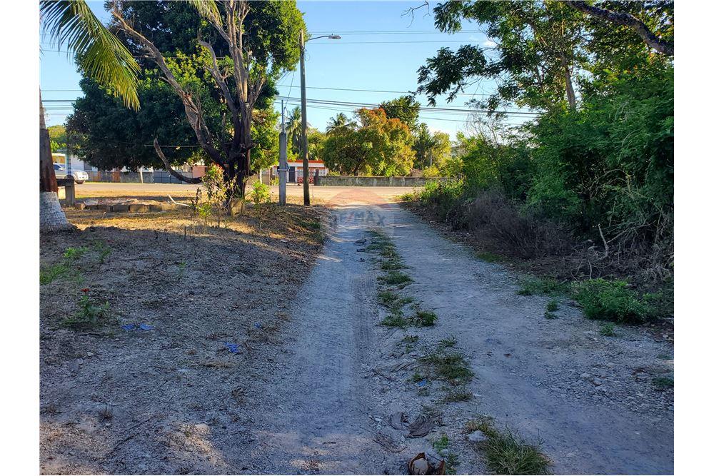 Commercio - Terreno - Ranchito, Corozal District, Belize - Caribbean & Central Ameri - 14 - 901411007-89