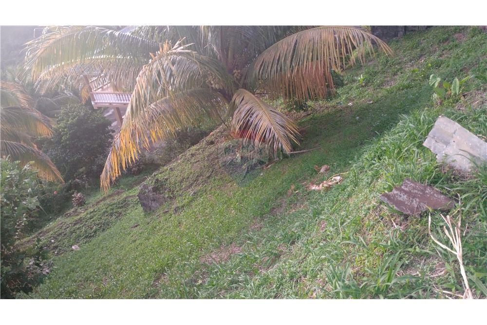 商业 - 土地 - Gomea, St Vincent, St Vincent and the Grenadines - Caribbean & Central Ameri - 2 - 90109008-7