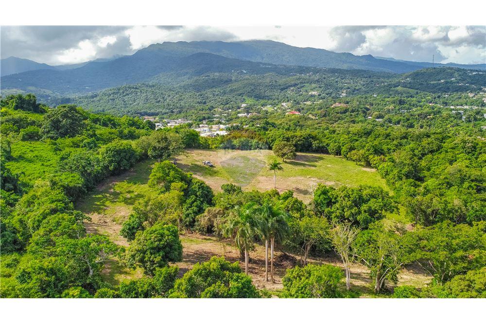 Commercial - Land - Rio Grande, Rio Grande, Puerto Rico - Caribbean & Central Ameri - 6 - 902461007-23