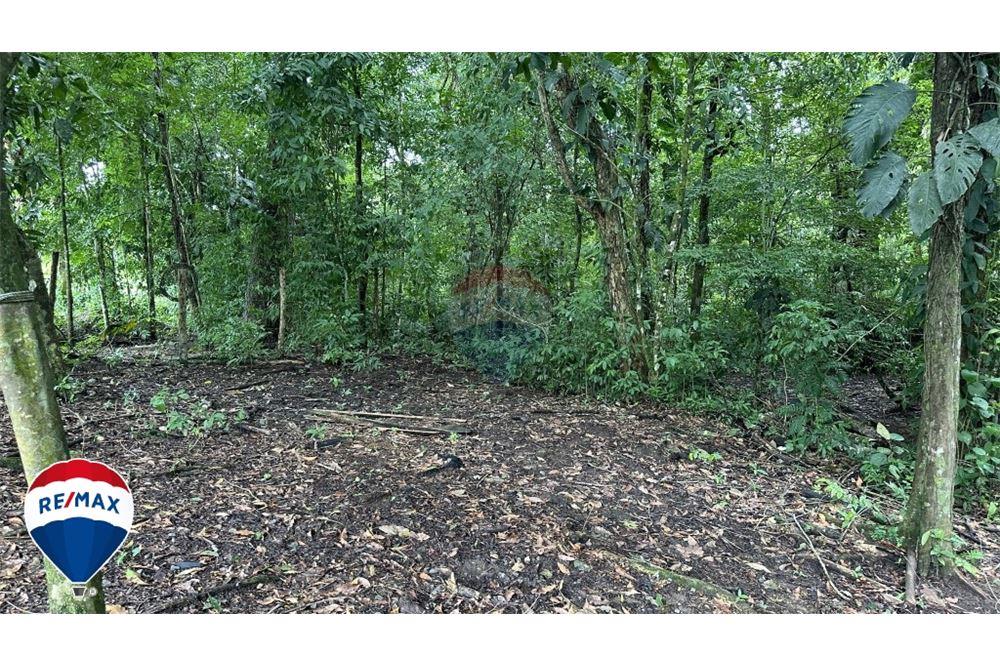 Commercio - Terreno - San José, San José, Costa Rica - Caribbean & Central Ameri - 6 - 90168030-67