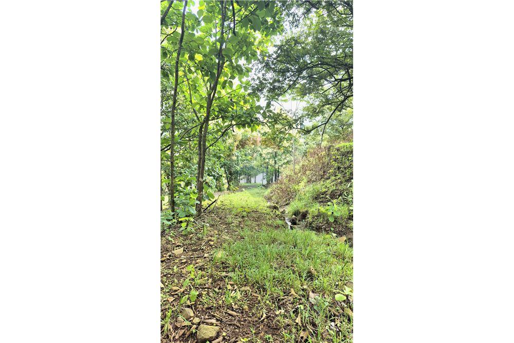 Commercial - Land - Atenas, Alajuela- Atenas, Costa Rica - Caribbean & Central Ameri - 17 - 90128007-183