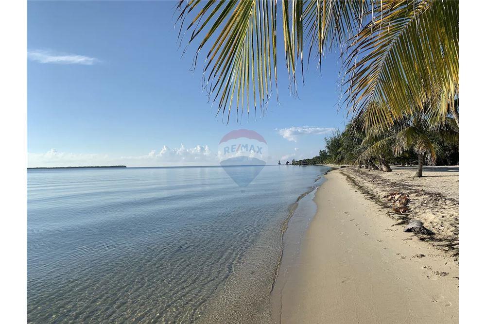 Commercial - Land - Riversdale, Stann Creek District, Belize - Caribbean & Central Ameri - 1 - 90127038-14