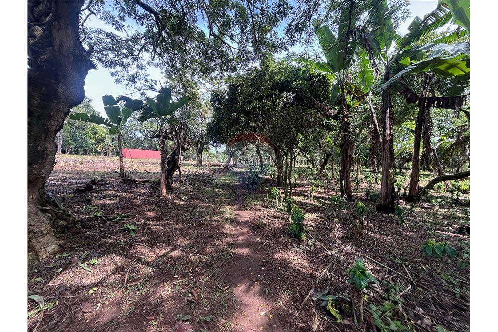 Grondstuk - Te Koop - Atenas, Alajuela- Atenas, Costa Rica - 21 - 90128002-974