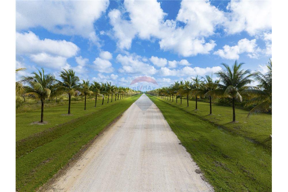 Commercial - Land - Stann Creek, Stann Creek District, Belize - Caribbean & Central Ameri - 11 - 90127022-91