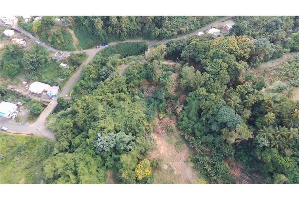 Comercial - Terrenos - Adelphi, St Vincent, St Vincent and the Grenadines - Caribbean & Central Ameri - 1 - 90109004-59