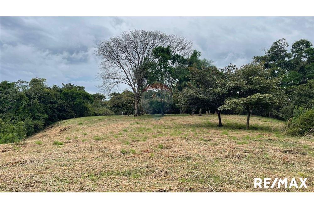 Commercio - Terreno - Puntarenas, Puntarenas - Puntarenas, Costa Rica - Caribbean & Central Ameri - 16 - 90168045-6