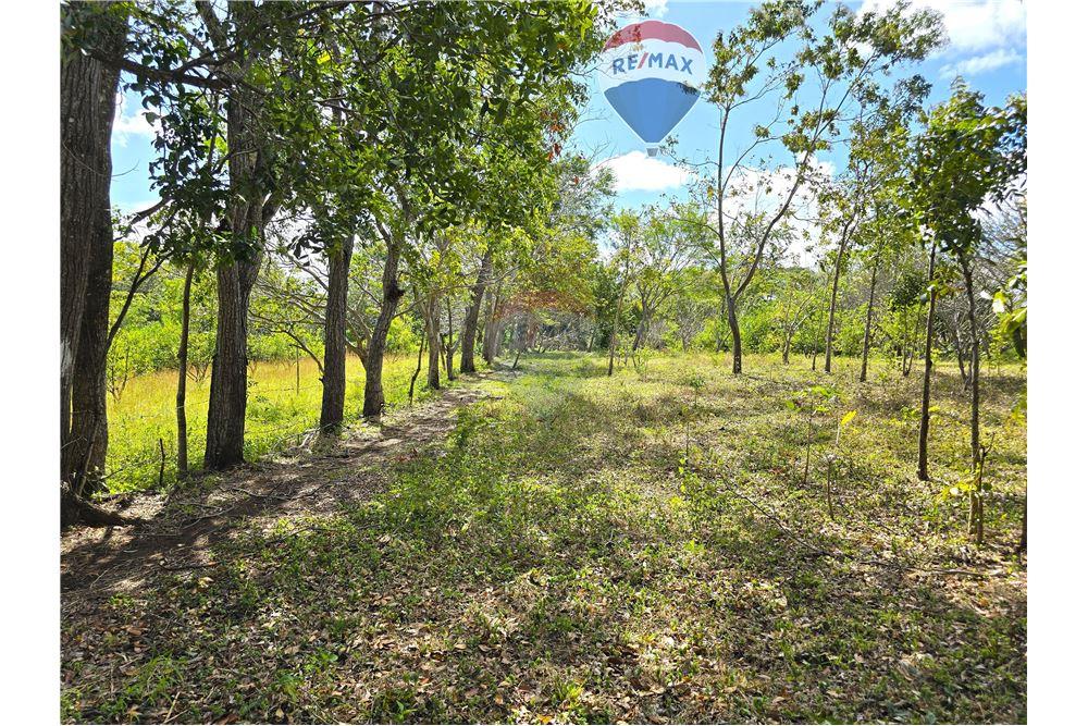 Commercial - Land - Nandaime, Granada, Nicaragua - Caribbean & Central Ameri - 3 - 90119010-73