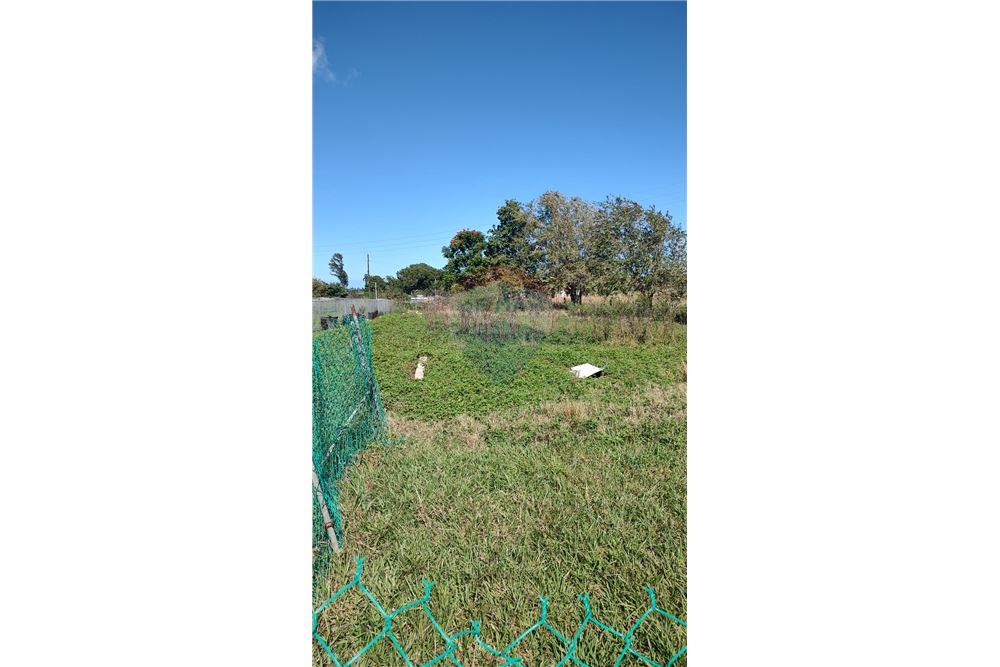 Commercial - Land - Isabela, Isabela, Puerto Rico - Caribbean & Central Ameri - 2 - 902461013-11