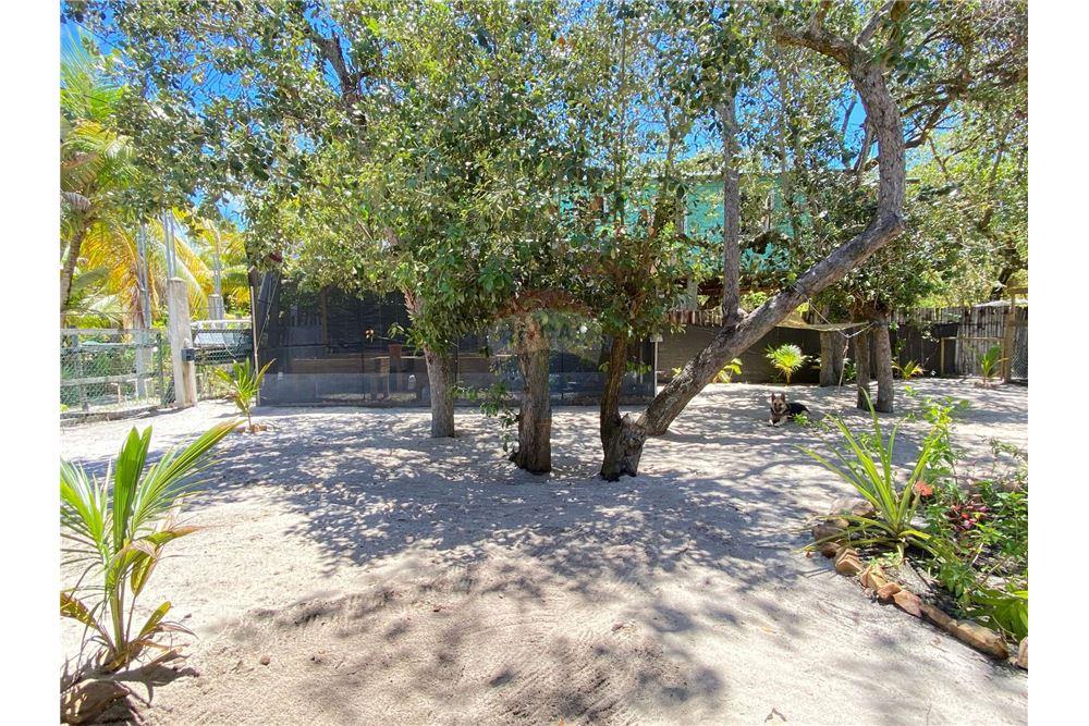 Prédio Habitacional - Vila - Seine Bight, Stann Creek District, Belize - Caribbean & Central Ameri - 27 - 90127041-5