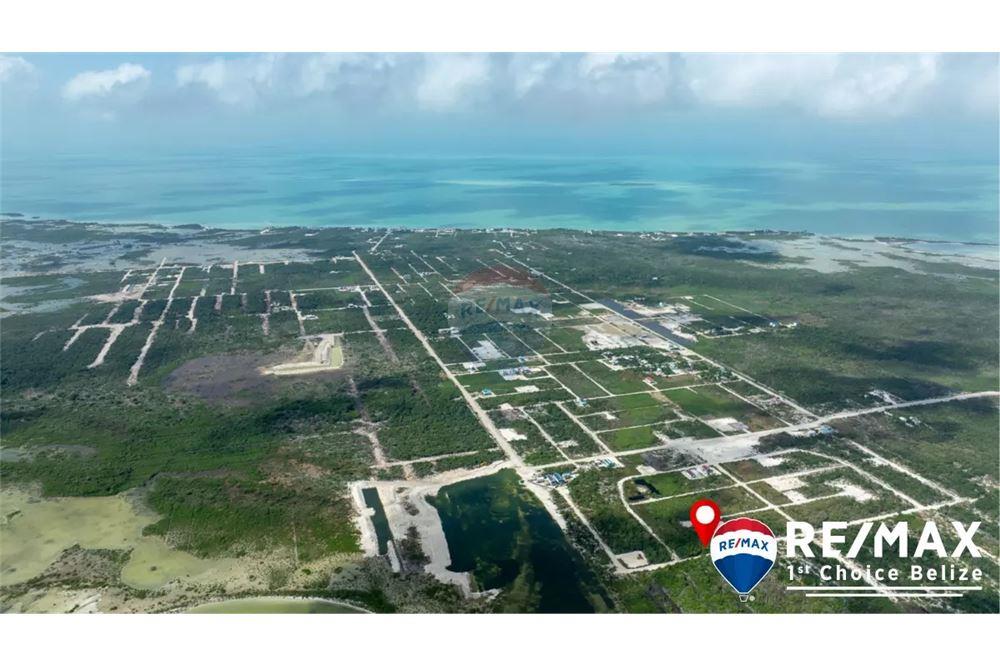 Commercial - Land - San Pedro, Belize District, Belize - Caribbean & Central Ameri - 5 - 90127023-385