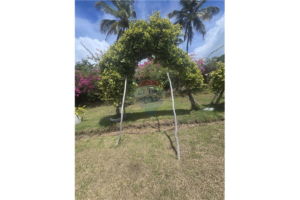 Residential - Villa - River Dorée, Choiseul, St Lucia - Caribbean & Central Ameri - 6 - 902071001-214