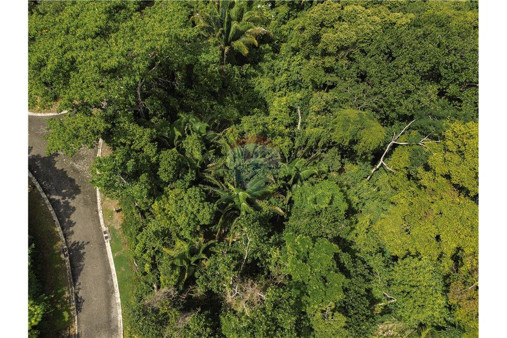 Surface commerciale - Autre terrain - Parrita - Esterillos, Puntarenas - Parrita, Costa Rica - Caribbean & Central Ameri - 9 - 90168039-31