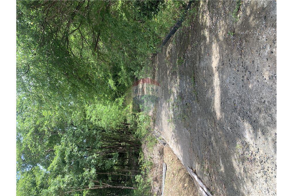 Commercial - Land - Gros Islet, Gros-Islet, St Lucia - Caribbean & Central Ameri - 4 - 902071001-212