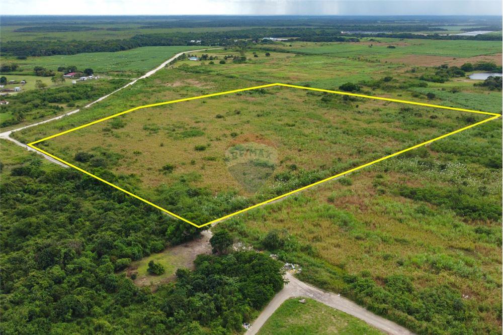 Commercial - Land - Libertad, Corozal District, Belize - Caribbean & Central Ameri - 4 - 901411007-98