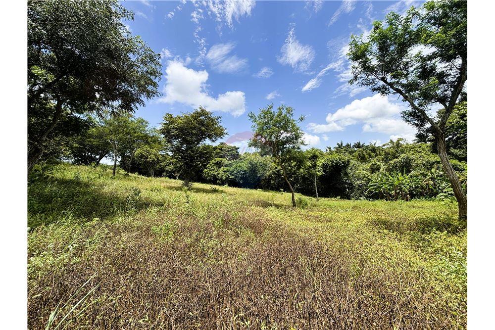 Land - For Sale - Dolores, Carazo, Nicaragua - 4 - 902521001-24