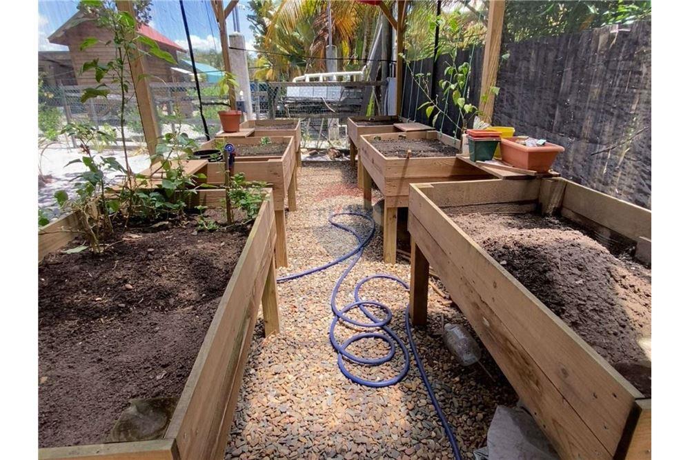 Prédio Habitacional - Vila - Seine Bight, Stann Creek District, Belize - Caribbean & Central Ameri - 26 - 90127041-5