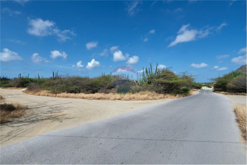 Land - For Sale - Santa Cruz, Aruba, Aruba - 7 - 90105005-512
