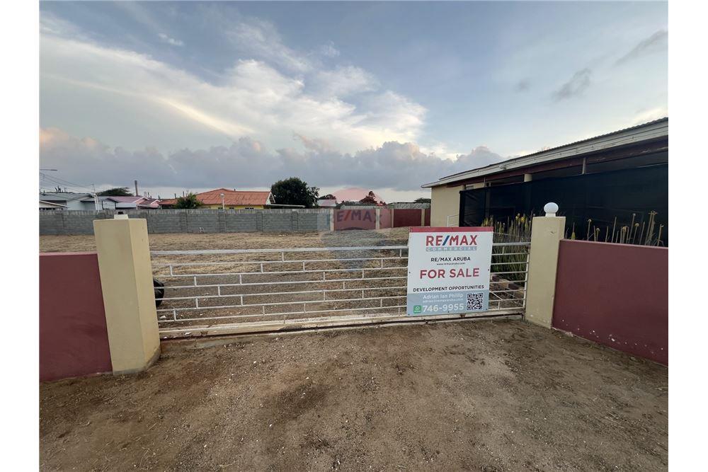 Commercial/Retail - For Sale - Sint Nicolaas, Aruba, Aruba - 55360 - 90105035-27