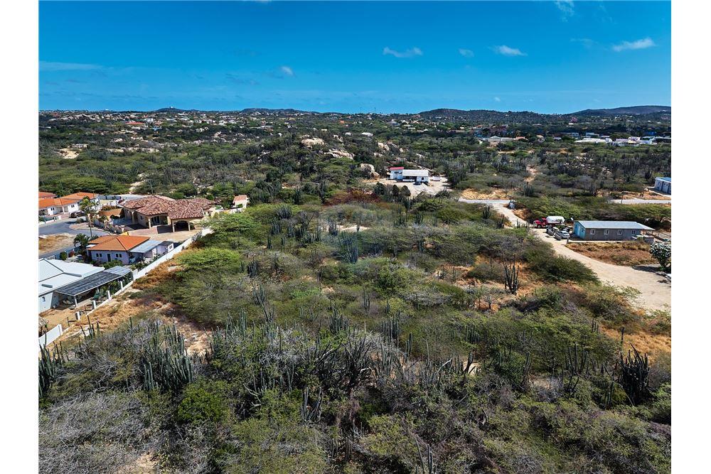 Land - For Sale - Santa Cruz, Aruba, Aruba - 4 - 90105005-512