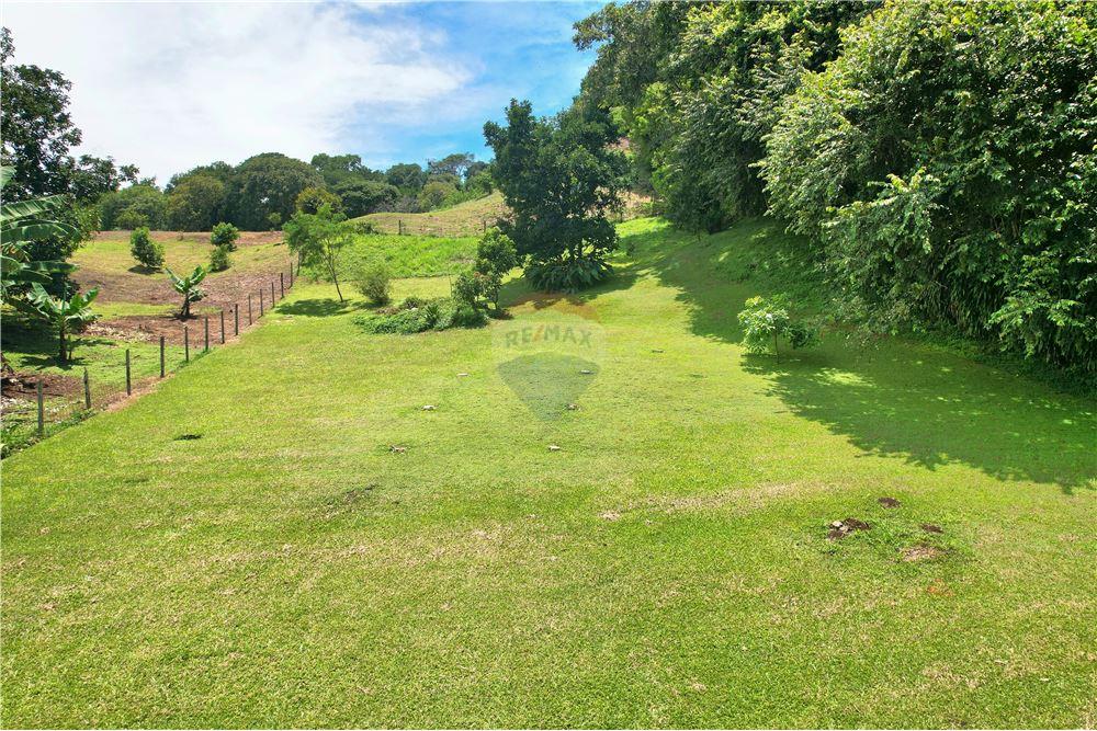 Commercial - Land - Atenas, Alajuela- Atenas, Costa Rica - Caribbean & Central Ameri - 2 - 90128007-187