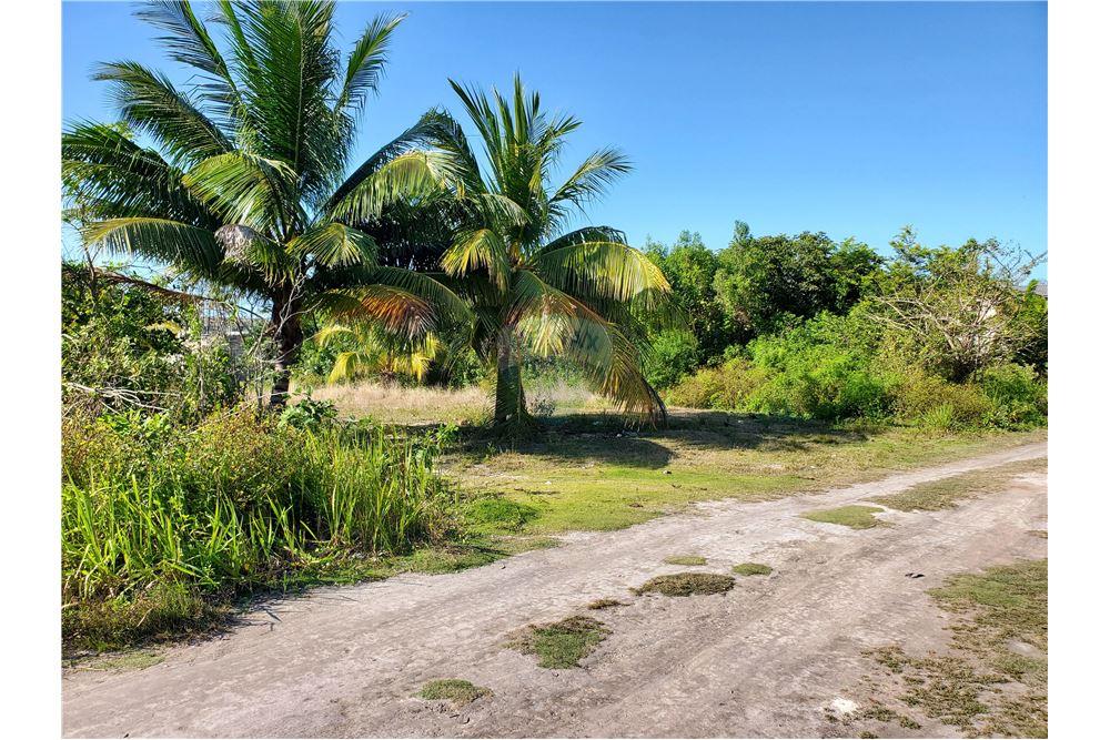 商业 - 土地 - Corozal Town, Corozal District, 伯利兹 - Caribbean & Central Ameri - 3 - 901411007-91