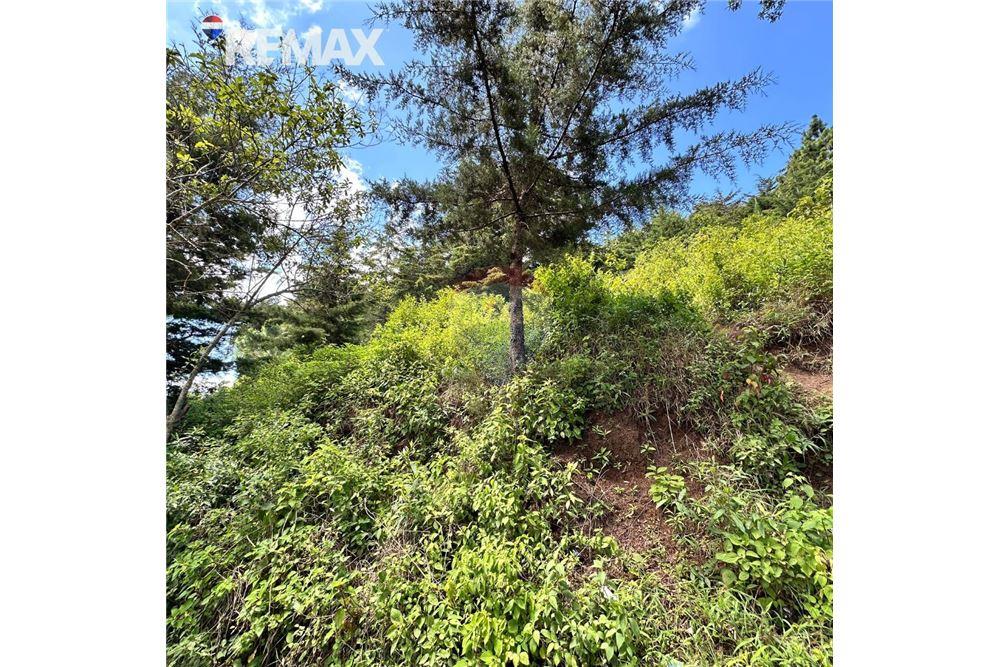 Lote - Venta - San José Pinula, Guatemala, Guatemala - 2 - 902611006-17