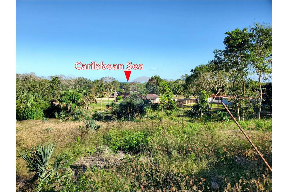 Commercio - Terreno - Ranchito, Corozal District, Belize - Caribbean & Central Ameri - 4 - 901411007-89