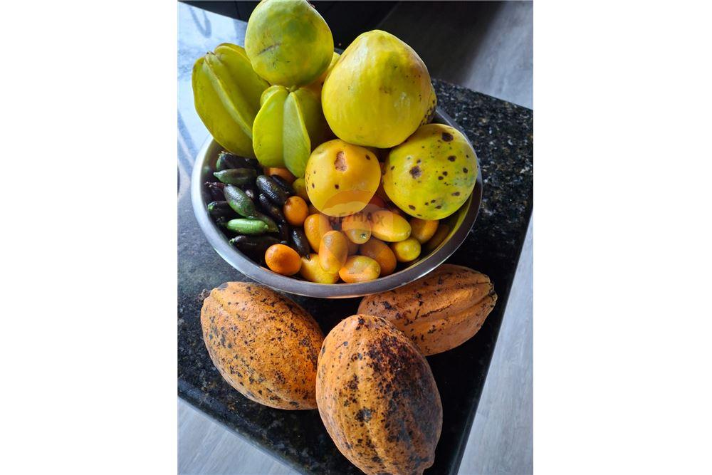 住宅 - 多户住宅 - Puntarenas, Puntarenas - Puntarenas, 哥斯达黎加 - Caribbean & Central Ameri - 3 - 90168039-34